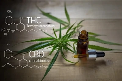 نمای کلی صنعت Vape CBD & THC: آخرین راهنمای کامل